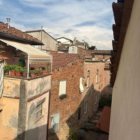 La Casa Del Galletto - At The Top Of The City لوكا المظهر الخارجي الصورة